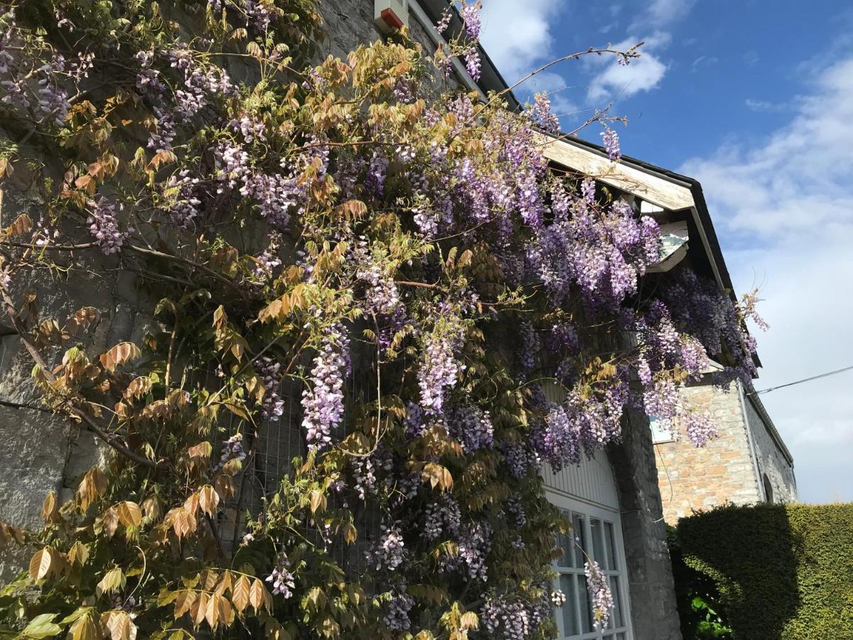 B&B La Buissonniere Xhoris ภายนอก รูปภาพ