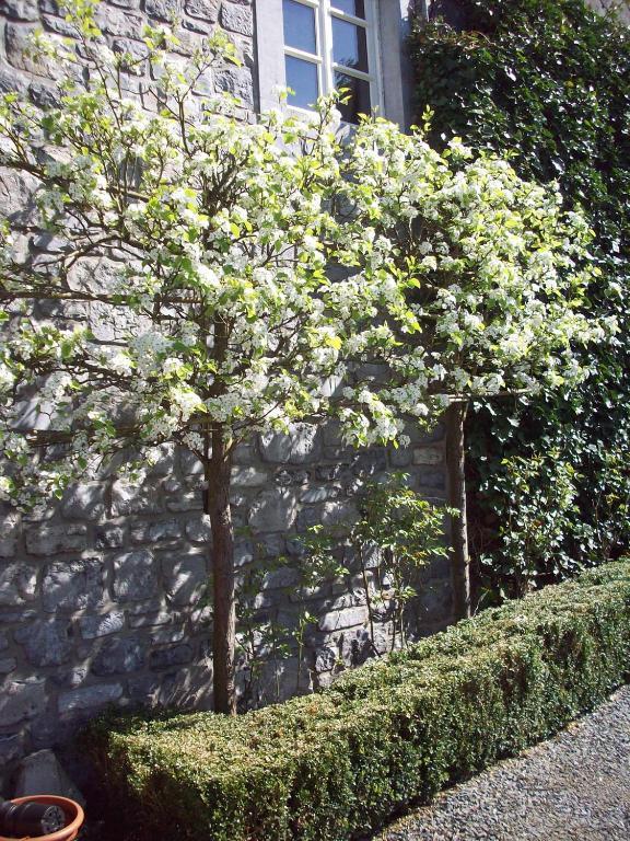 B&B La Buissonniere Xhoris ภายนอก รูปภาพ