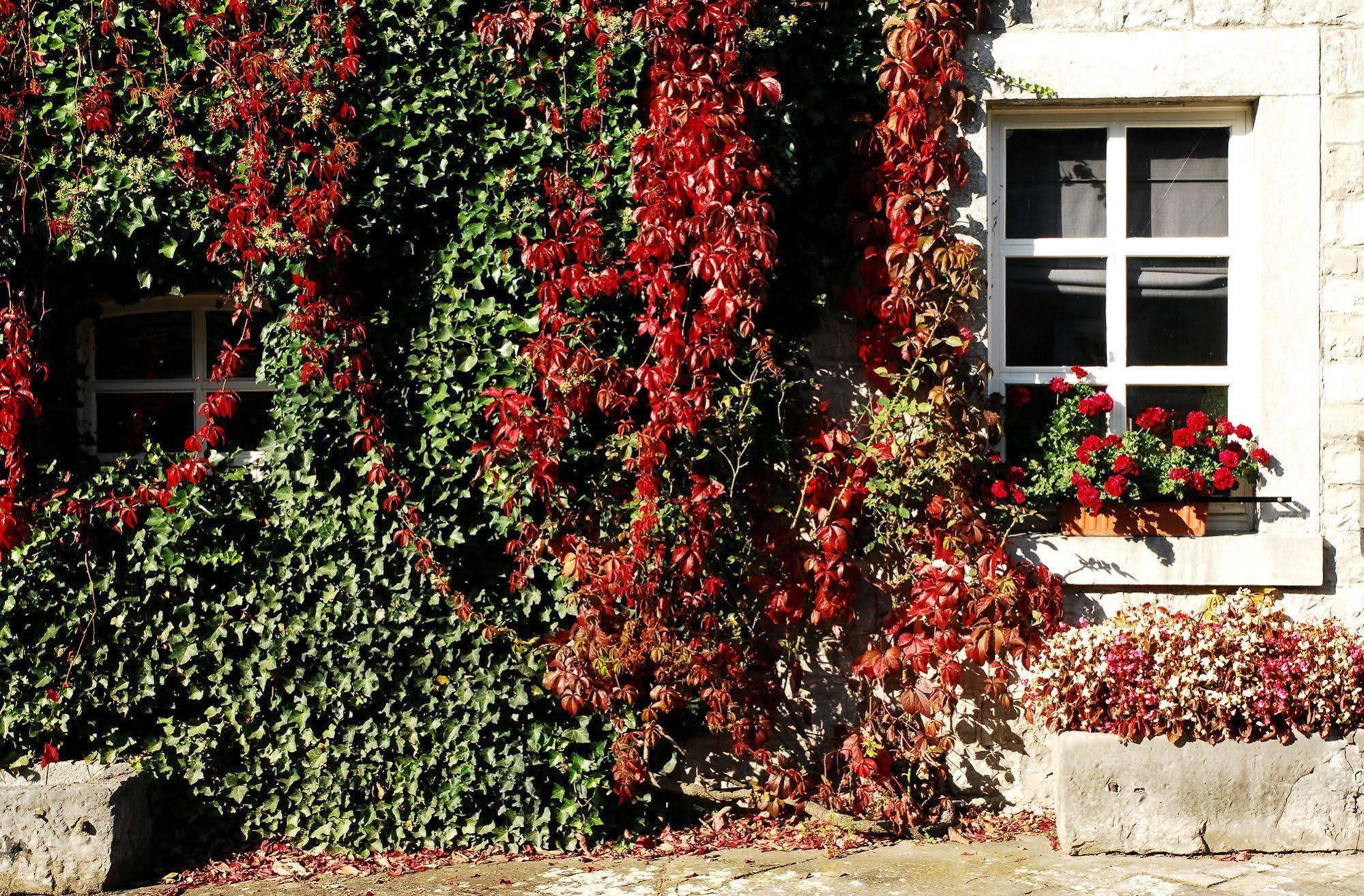 B&B La Buissonniere Xhoris ภายนอก รูปภาพ